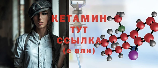 индика Ельня