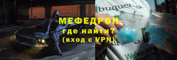 индика Ельня
