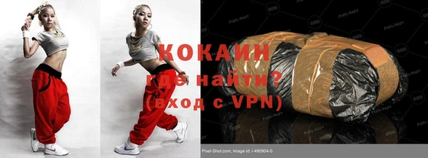 индика Ельня