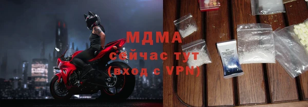 индика Ельня