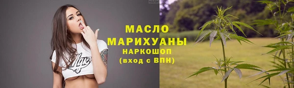 индика Ельня