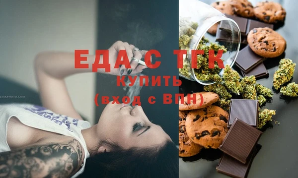 индика Ельня
