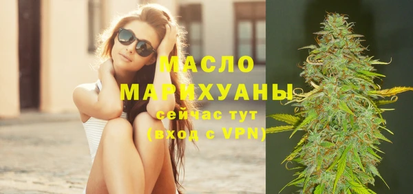 индика Ельня