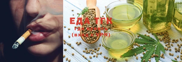 индика Ельня