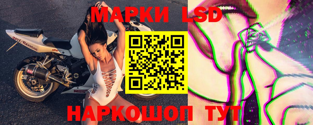 Наркотические марки 1,8мг  Наркотические марки 1,8мг  Камышлов  Вход с VPN 