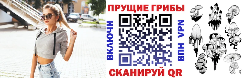 продажа наркотиков  Камышлов  гидра сайт  Галлюциногенные грибы мицелий 