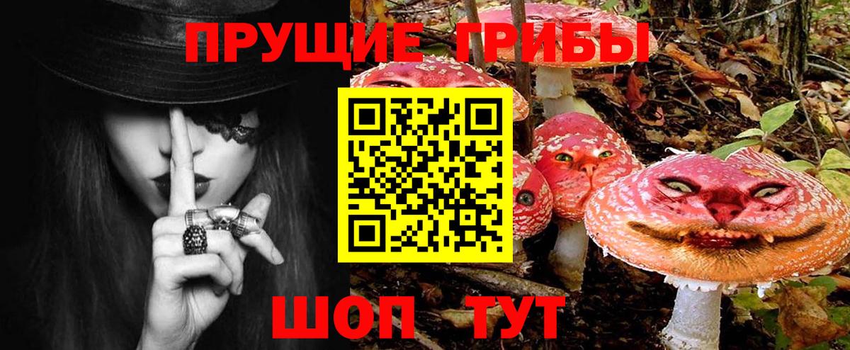 Галлюциногенные грибы Psilocybe  Вход с VPN  Камышлов 