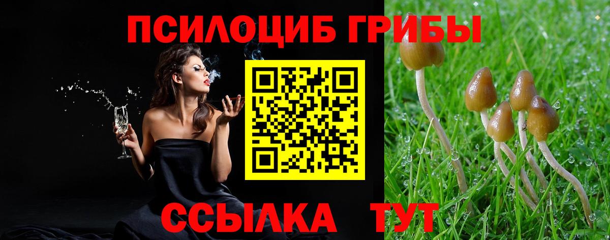 Псилоцибиновые грибы MAGIC MUSHROOMS  Камышлов  Псилоцибиновые грибы GOLDEN TEACHER 